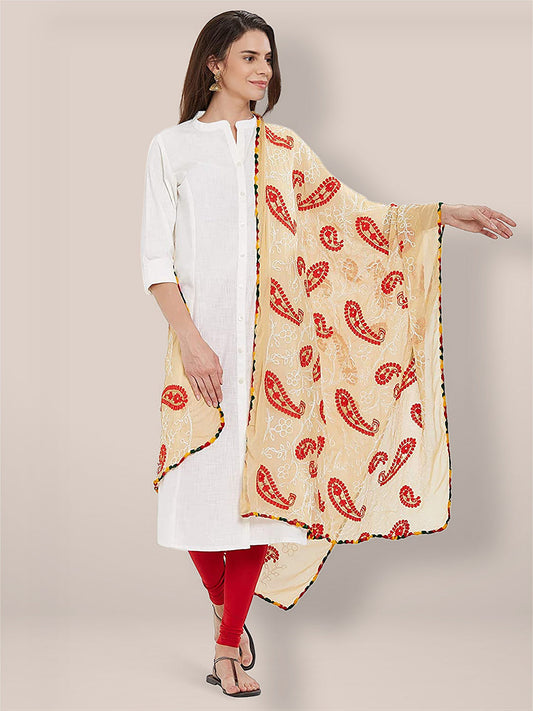 Multicoloured Paisley Embroidered Chiffon Dupatta freeshipping - Dupatta Bazaar