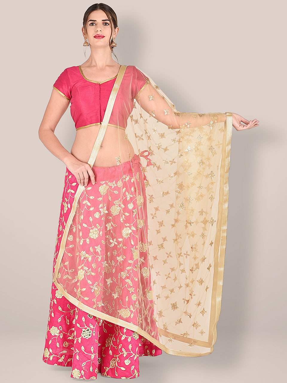 Embroidered Beige Net Dupatta. freeshipping - Dupatta Bazaar