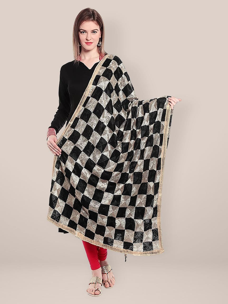 Black & Beige  Phulkari Chiffon Dupatta freeshipping - Dupatta Bazaar