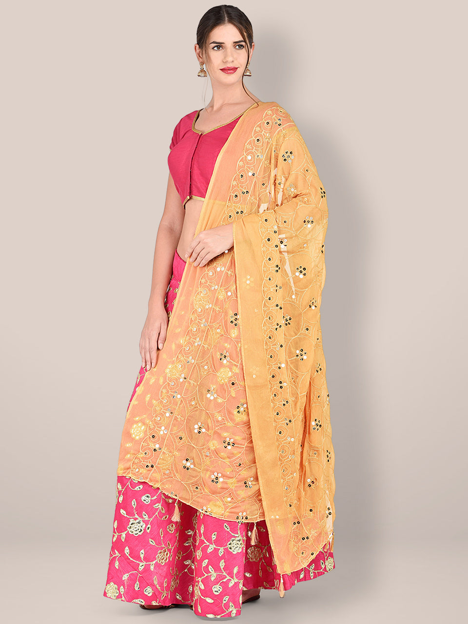 Embroidered Beige Chiffon Dupatta freeshipping - Dupatta Bazaar