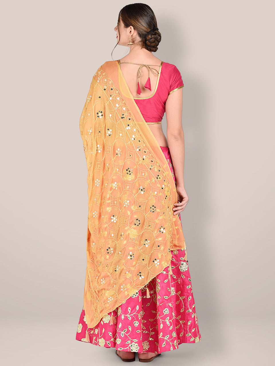 Embroidered Beige Chiffon Dupatta freeshipping - Dupatta Bazaar