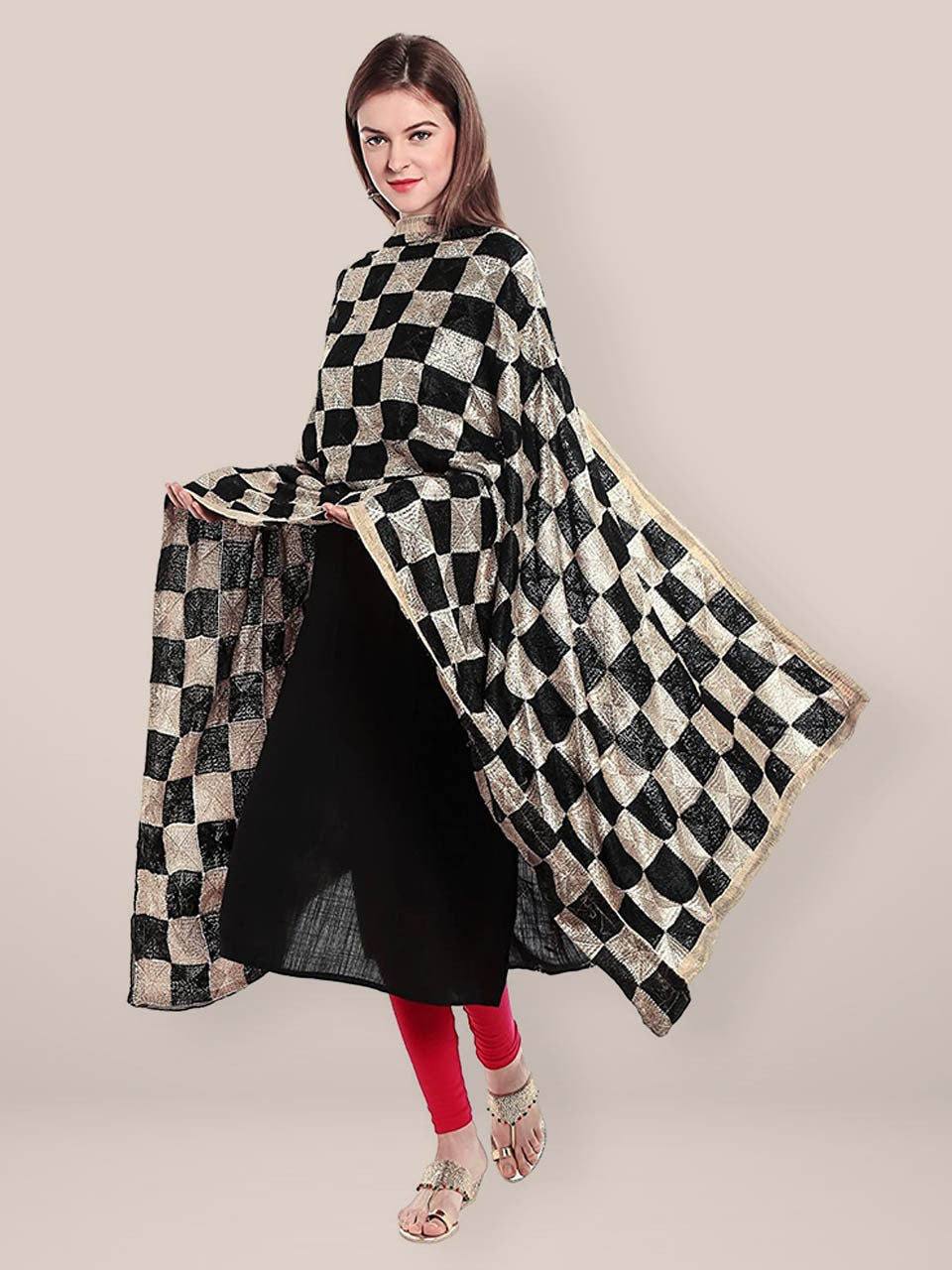 Black & Beige  Phulkari Chiffon Dupatta freeshipping - Dupatta Bazaar