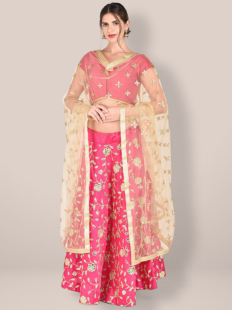 Embroidered Beige Net Dupatta. freeshipping - Dupatta Bazaar