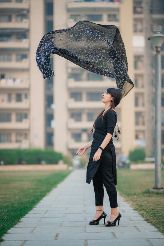 Chiffon Black & White Embrodiered  dupatta freeshipping - Dupatta Bazaar