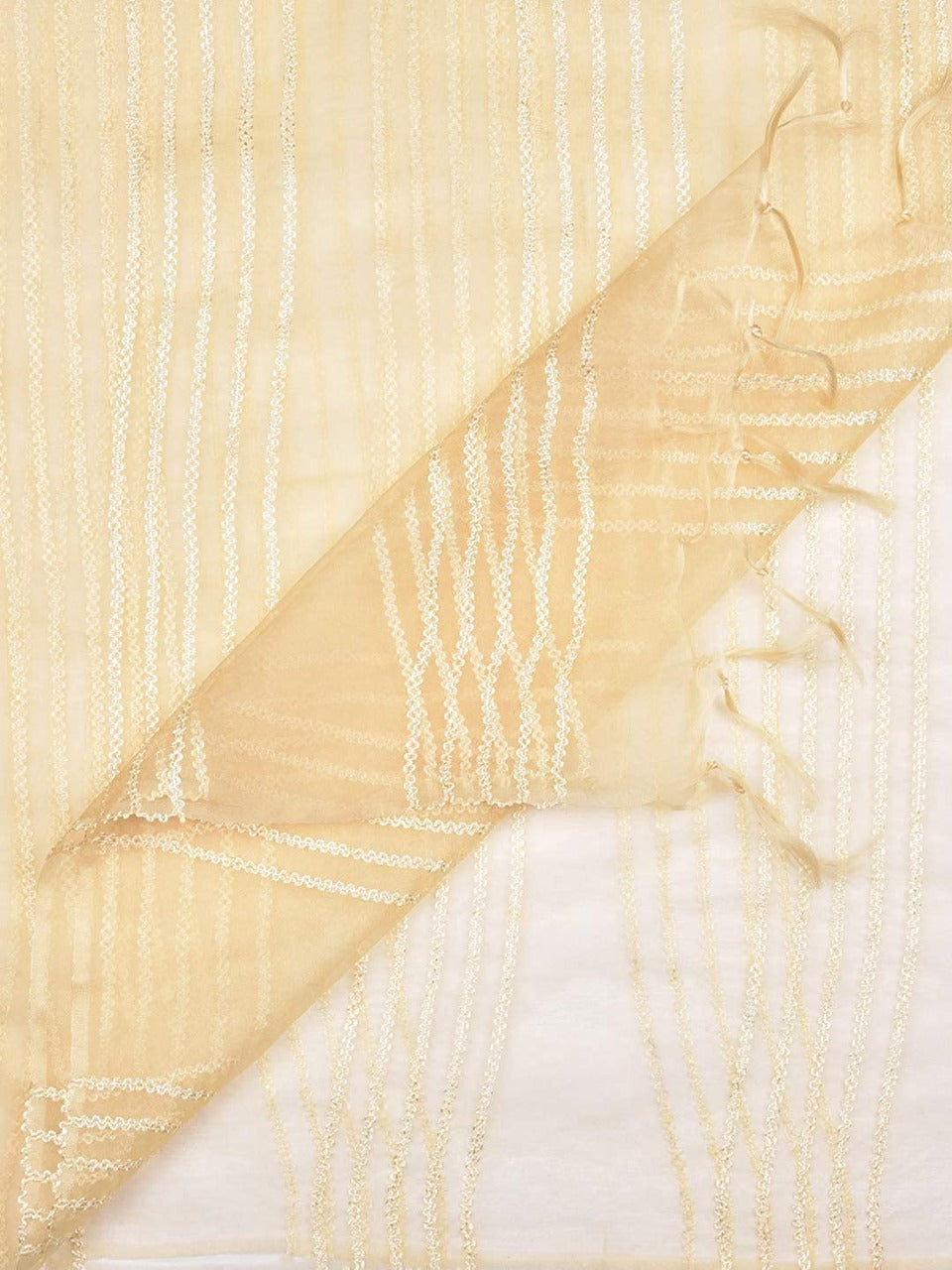 Woven Organza Dupatta freeshipping - Dupatta Bazaar