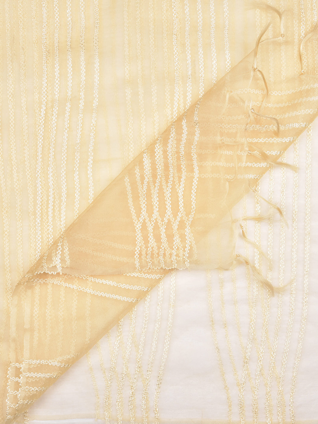 Dupatta Bazaar Woman's Beige Woven Organza Dupatta - Dupatta Bazaar
