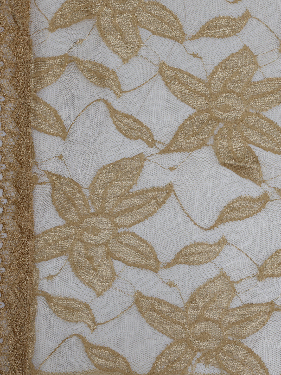 Dupatta Bazaar Woman's Beige Net Dupatta - Dupatta Bazaar