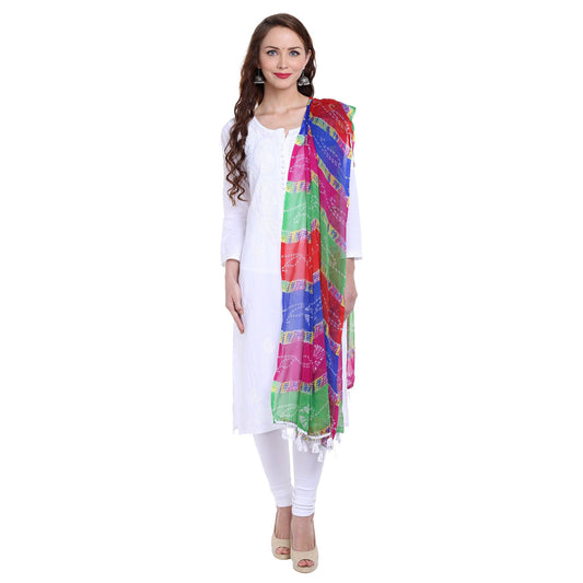 Dupatta Bazaar Women's Printed Chiffon Dupatta - Dupatta Bazaar