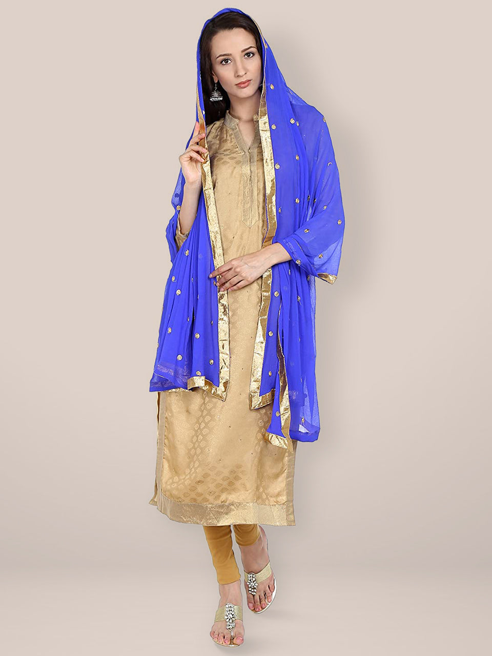 Blue Embroidered  Chiffon Dupatta freeshipping - Dupatta Bazaar