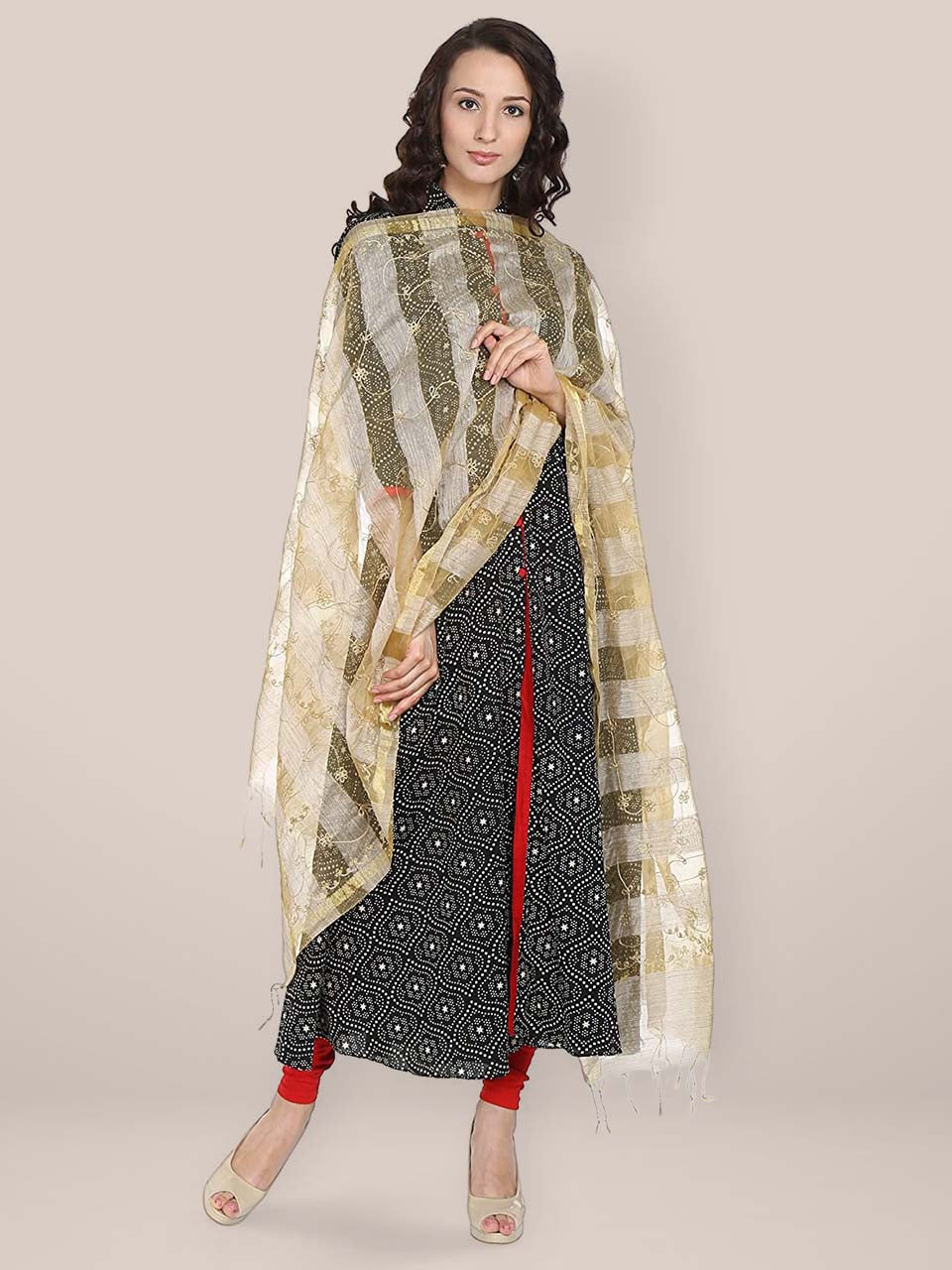 Beige Embroidered Striped Organza Dupatta freeshipping - Dupatta Bazaar
