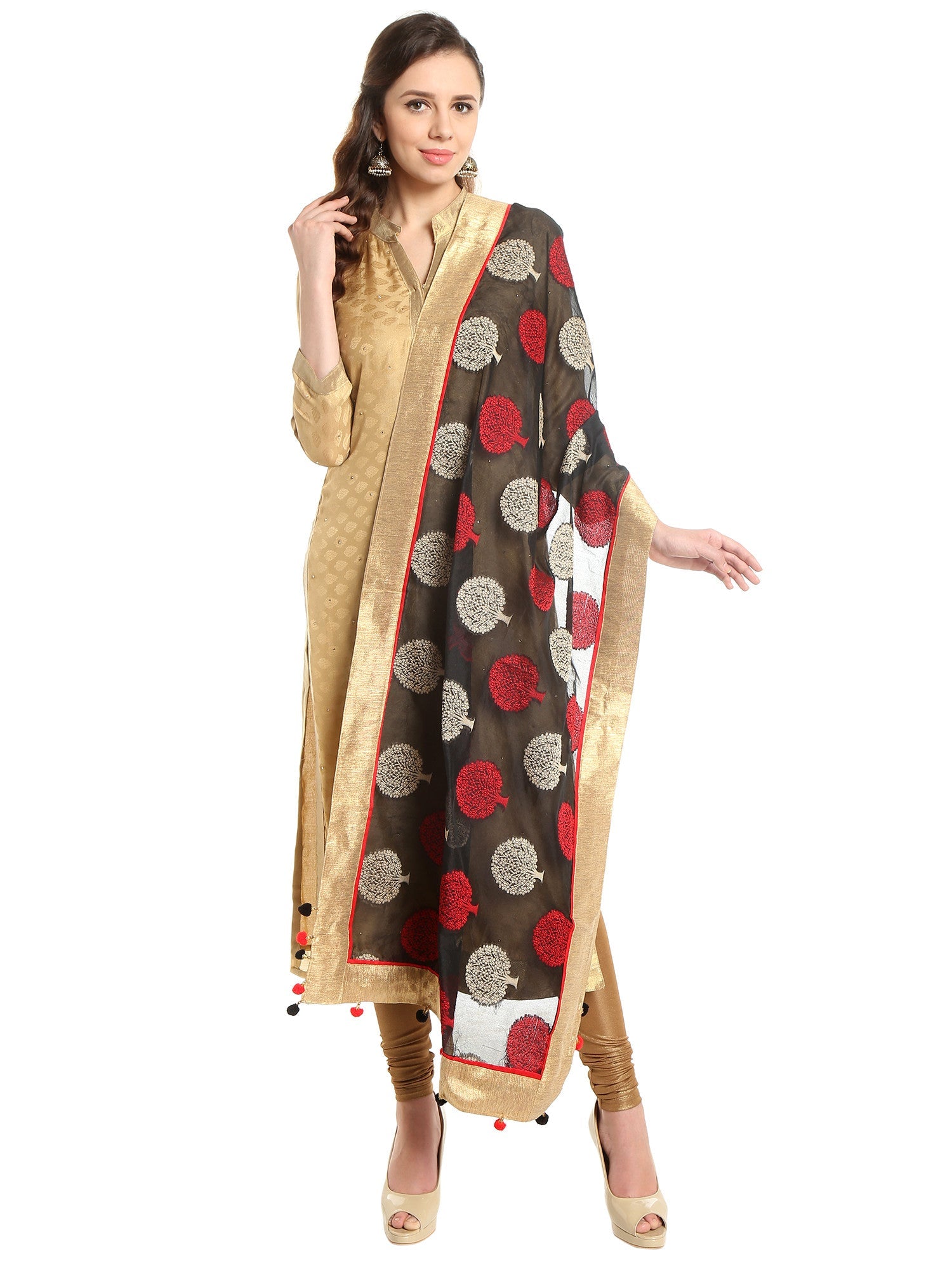 Dupatta Bazaar Woman's Banarasi Black, Red & Gold Silk Woven Dupatta - Dupatta Bazaar