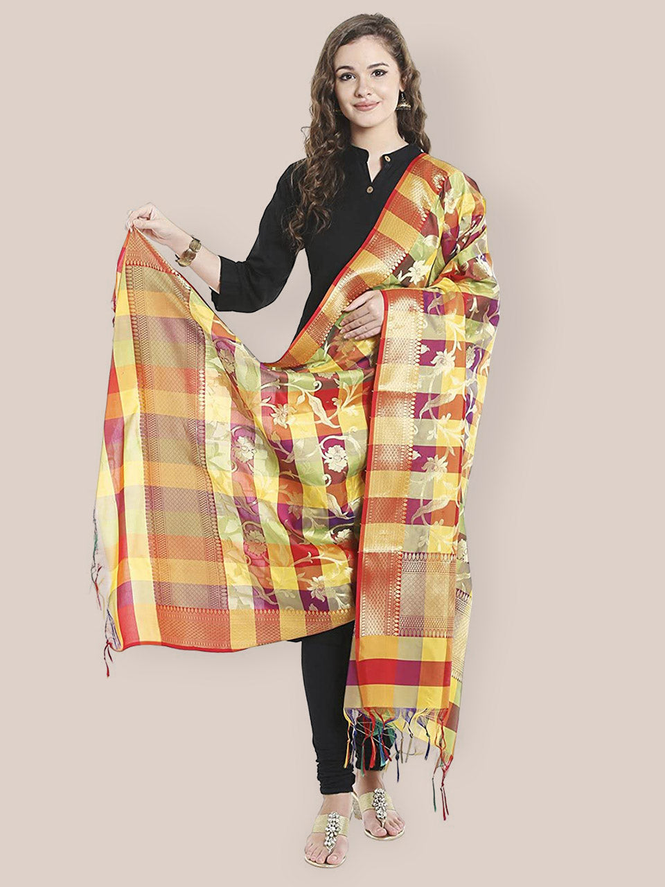 Multicoloured Woven Banarasi Dupatta freeshipping - Dupatta Bazaar