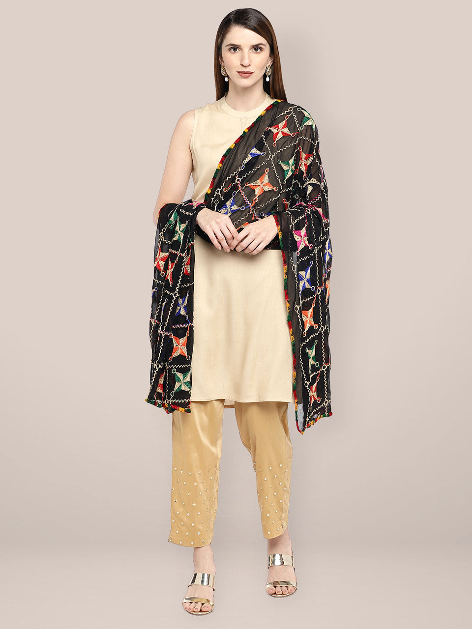 Black Chiffon  Phulkari Dupatta. freeshipping - Dupatta Bazaar