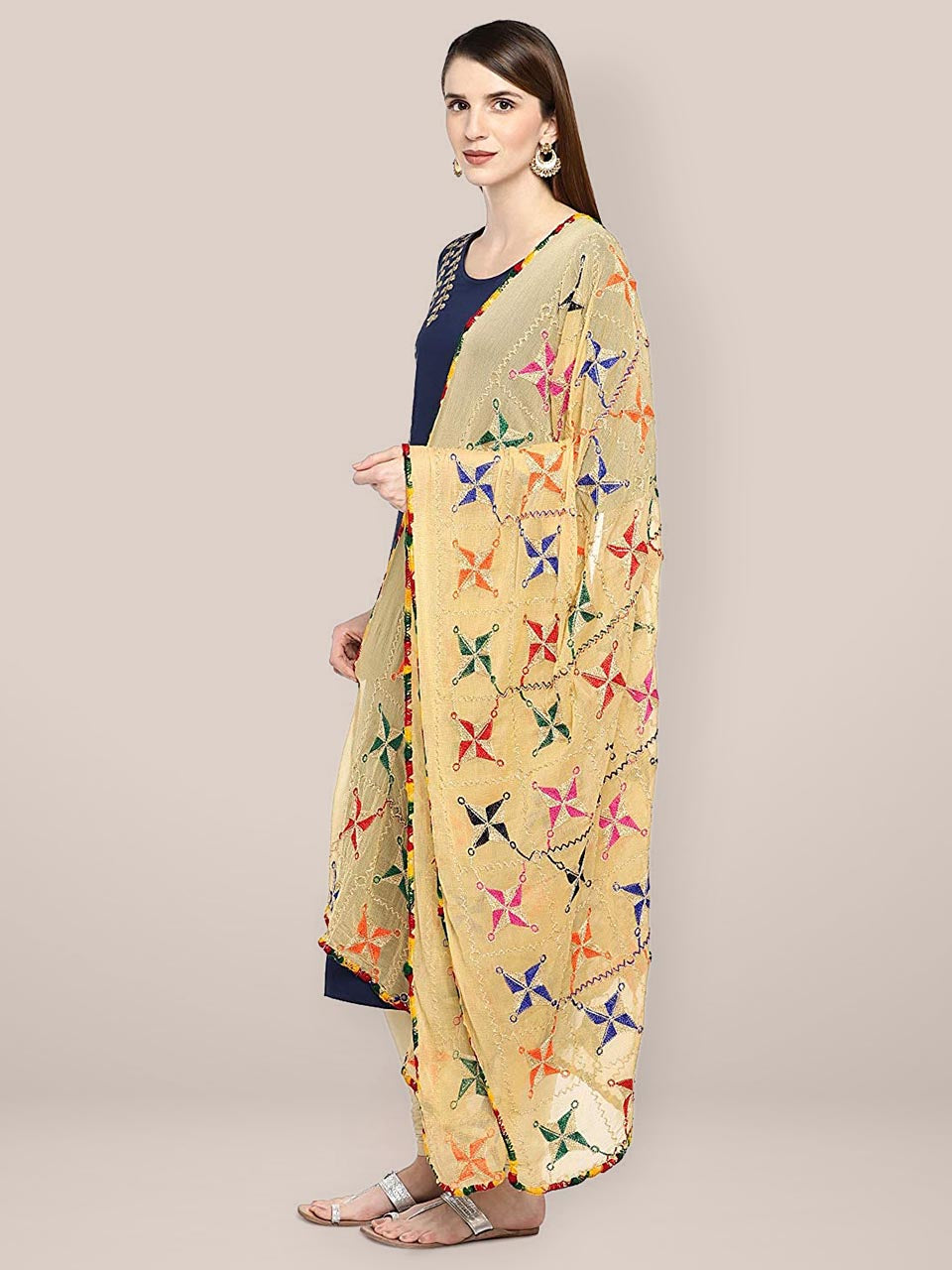 Beige Phulkari Chiffon Dupatta freeshipping - Dupatta Bazaar