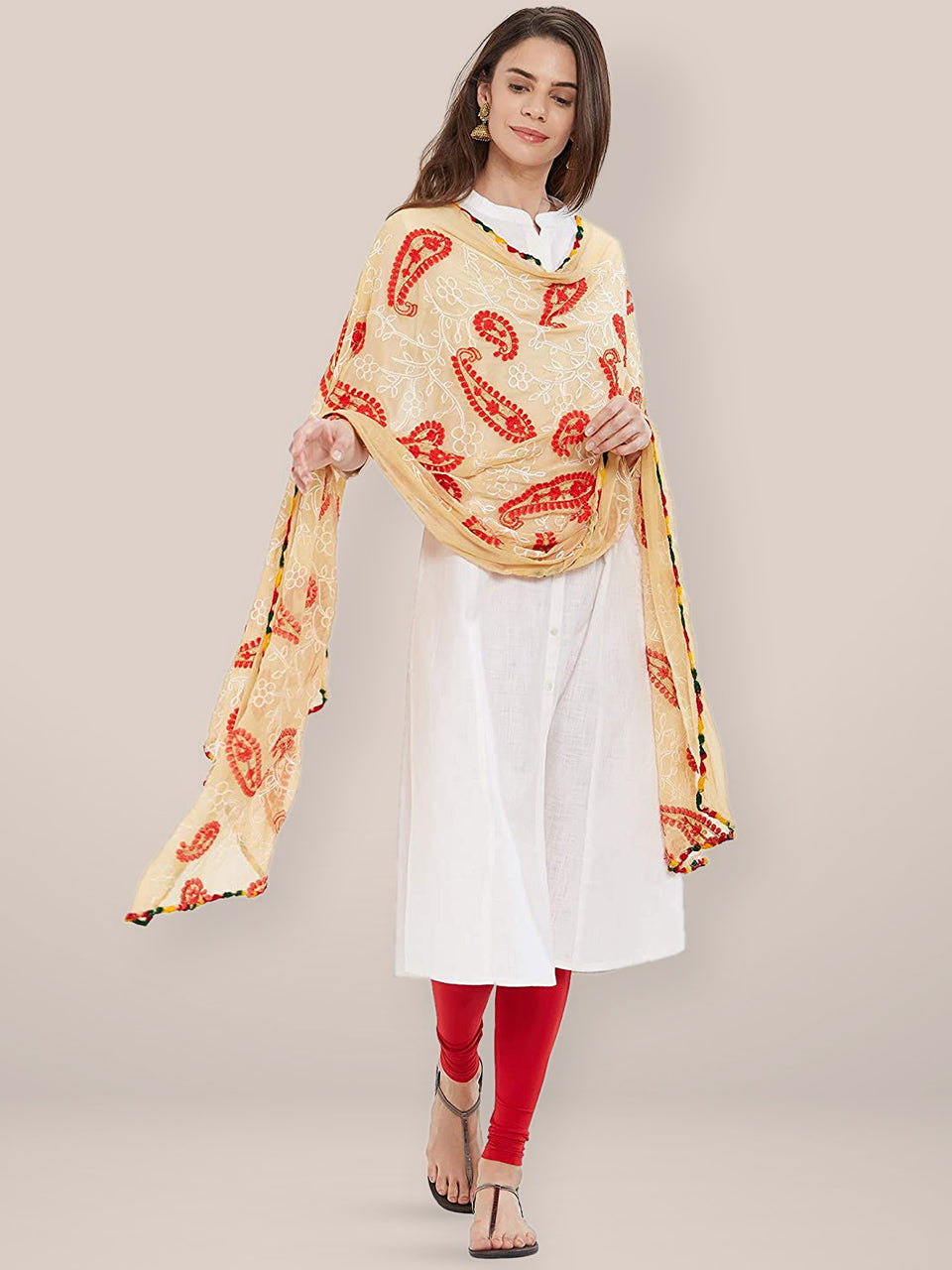 Multicoloured Paisley Embroidered Chiffon Dupatta freeshipping - Dupatta Bazaar
