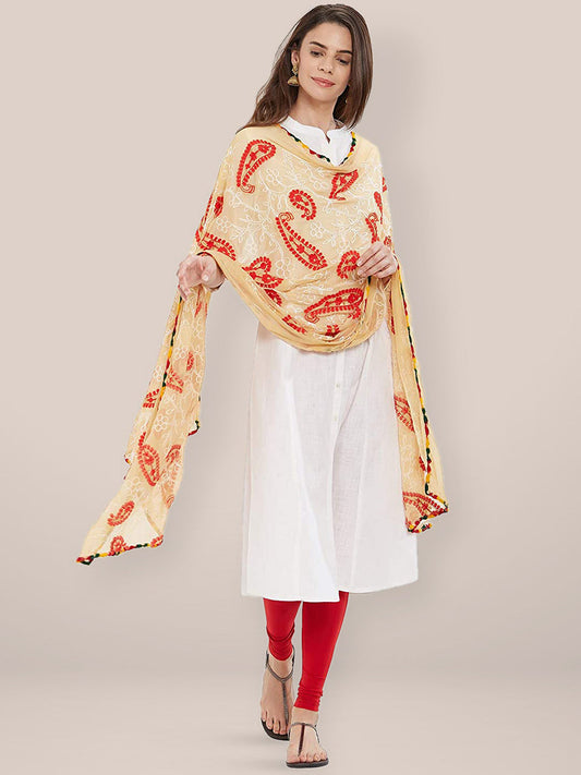Multicoloured Paisley Embroidered Chiffon Dupatta freeshipping - Dupatta Bazaar