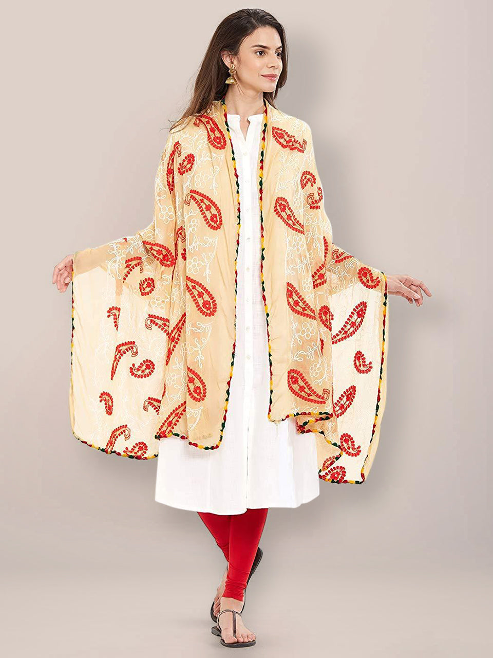 Multicoloured Paisley Embroidered Chiffon Dupatta freeshipping - Dupatta Bazaar