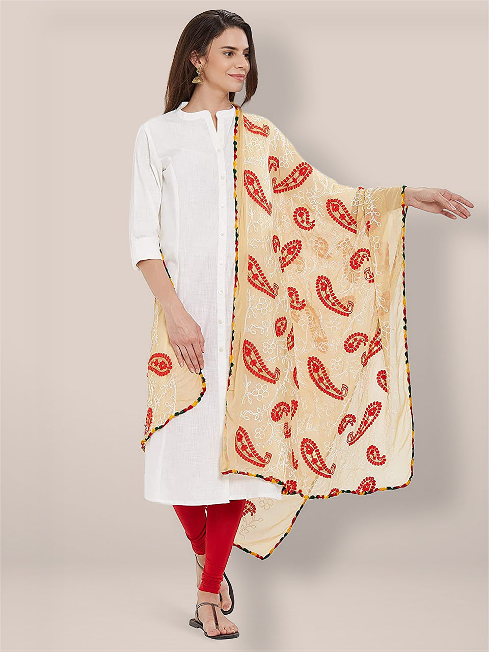 Multicoloured Paisley Embroidered Chiffon Dupatta freeshipping - Dupatta Bazaar