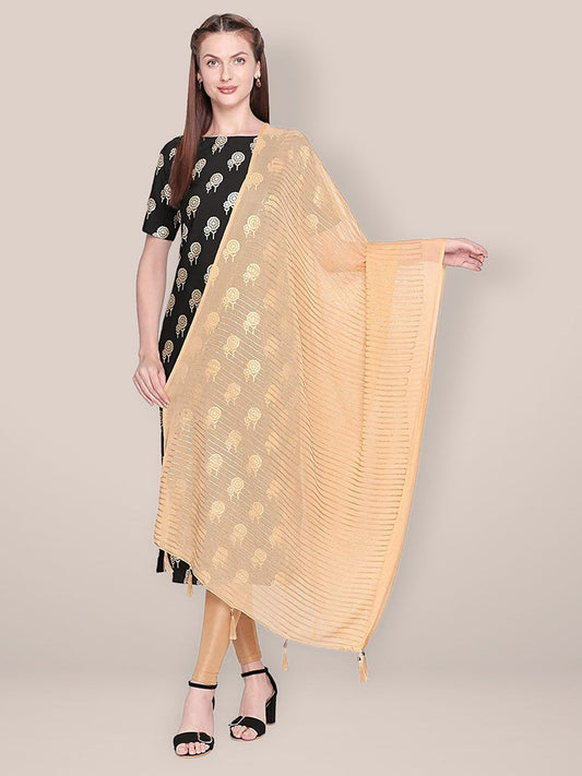 Embroidered Beige Chiffon Dupatta freeshipping - Dupatta Bazaar