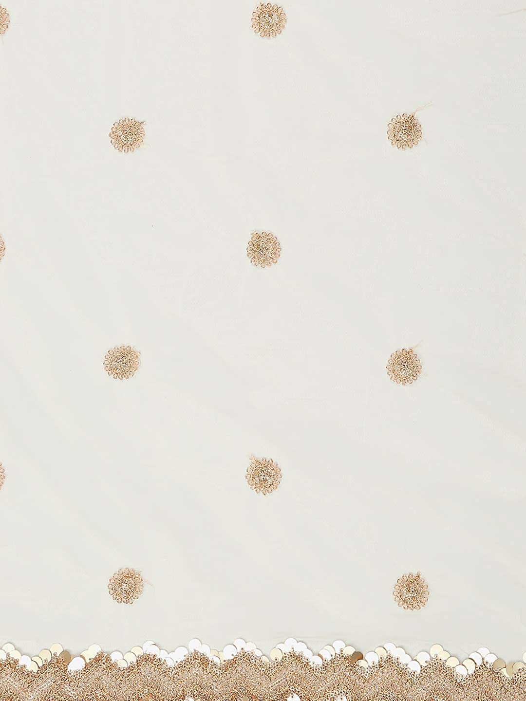 Embroidered Cream Net Dupatta. freeshipping - Dupatta Bazaar