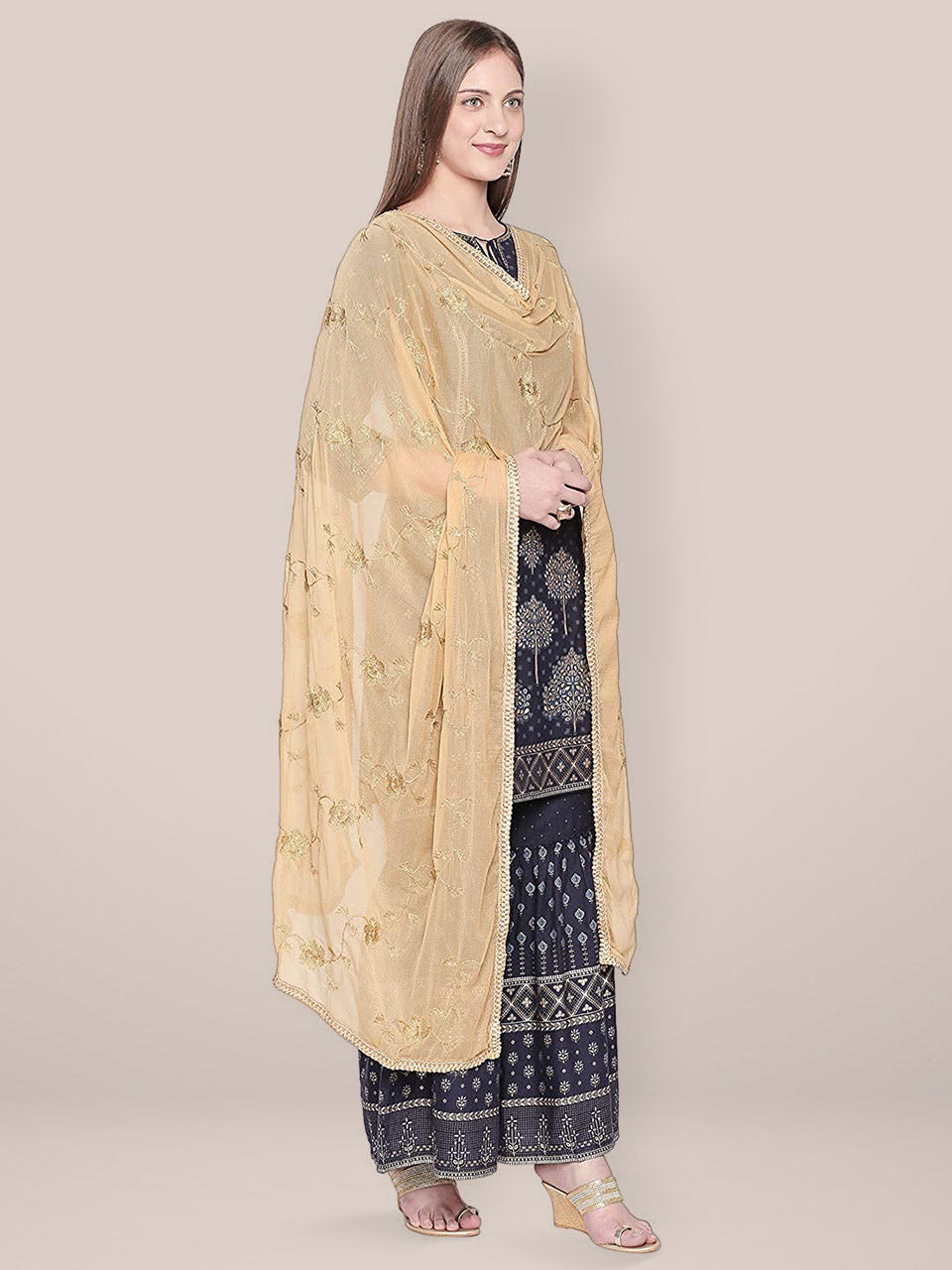 Embroidered Beige Chiffon dupatta with Gold border. freeshipping - Dupatta Bazaar