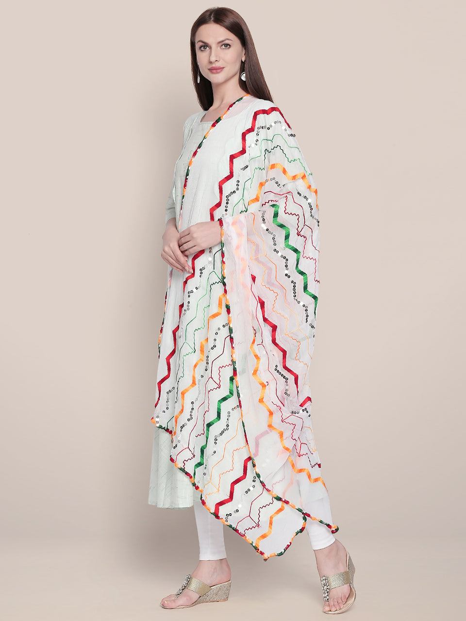 Multicolour Embroidered Chiffon Dupatta freeshipping - Dupatta Bazaar