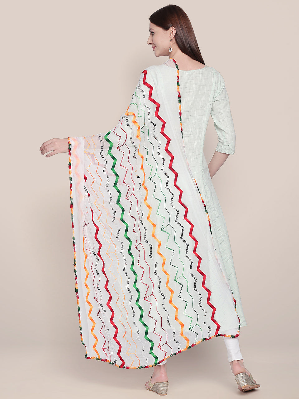 Multicolour Embroidered Chiffon Dupatta freeshipping - Dupatta Bazaar