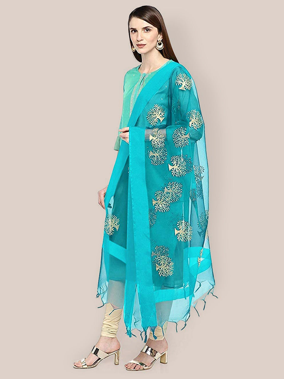 Turquoise Blue Organza Dupatta. freeshipping - Dupatta Bazaar