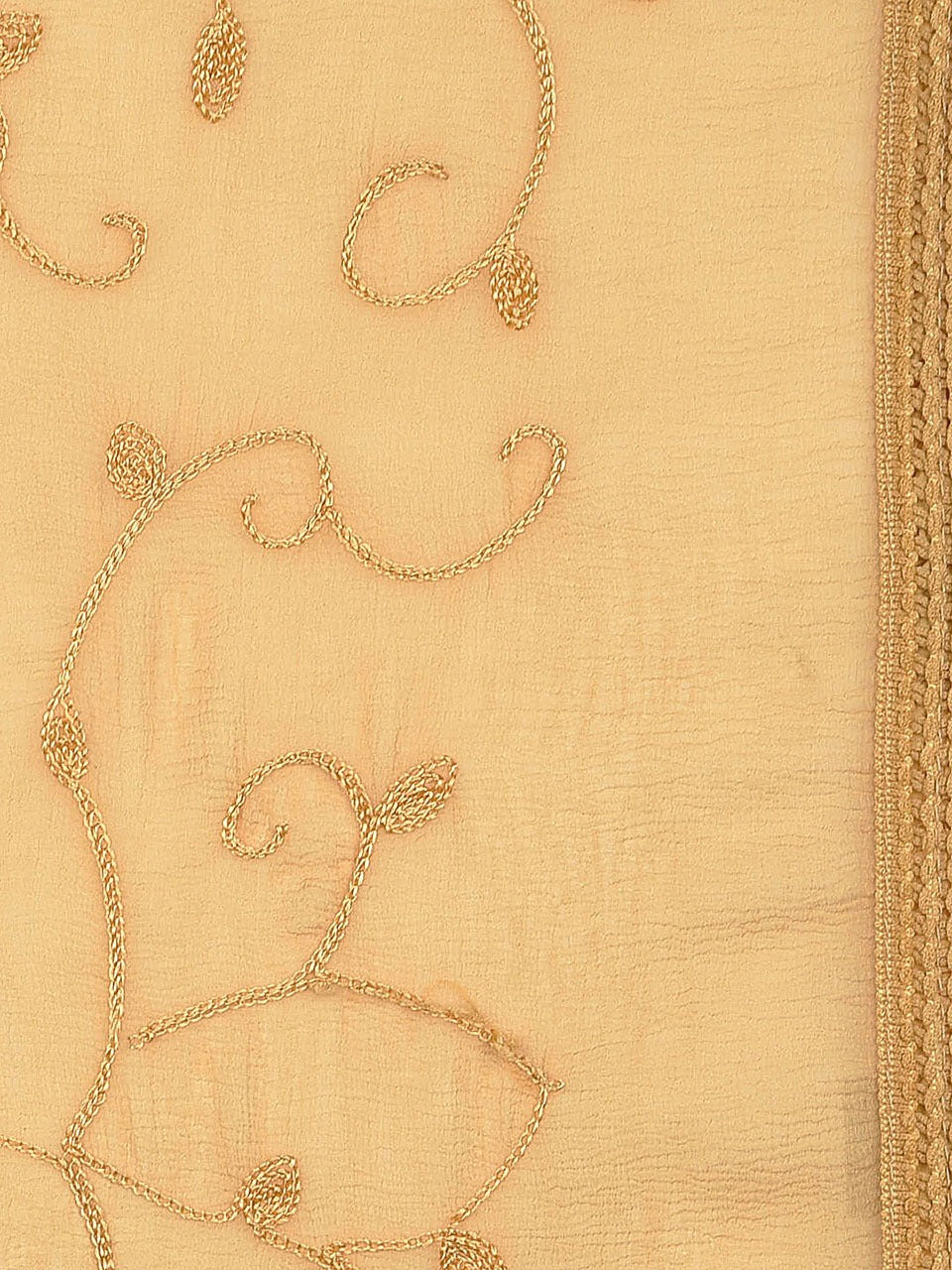 Beige Embroidered  Chiffon Dupatta freeshipping - Dupatta Bazaar