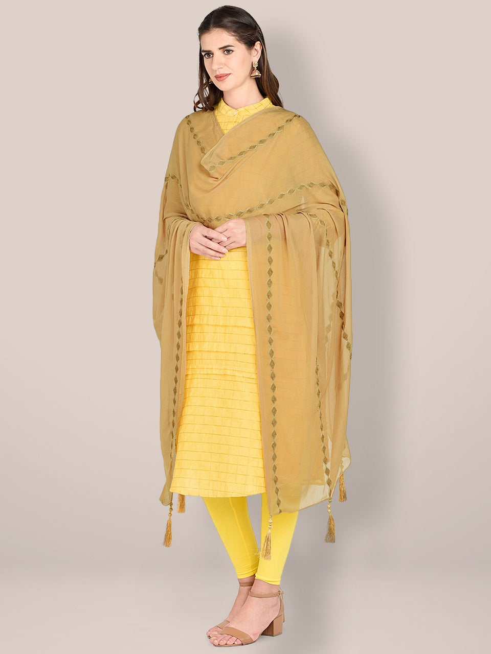 Embroidered Beige Chiffon Dupatta. freeshipping - Dupatta Bazaar