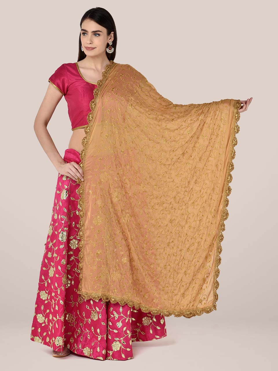 Beige Chiffon Dupatta with Gold Embroidery freeshipping - Dupatta Bazaar