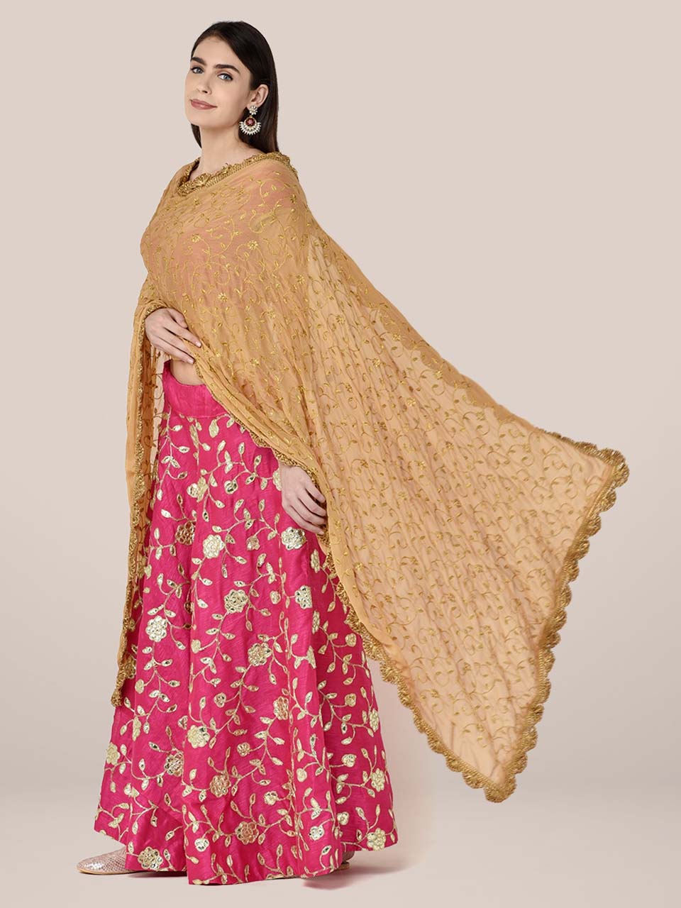 Beige Chiffon Dupatta with Gold Embroidery freeshipping - Dupatta Bazaar