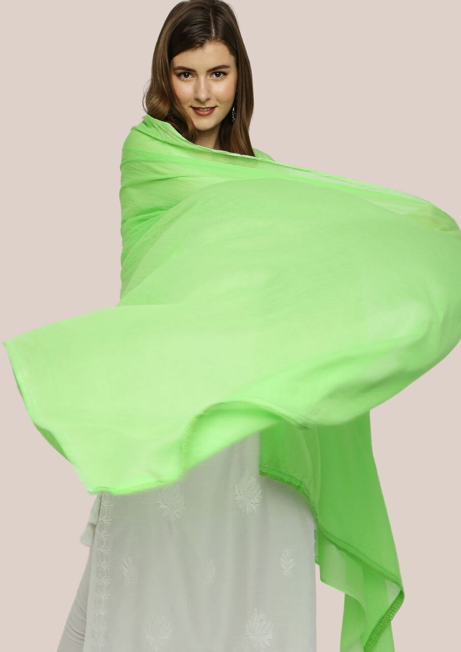 Parrot Green