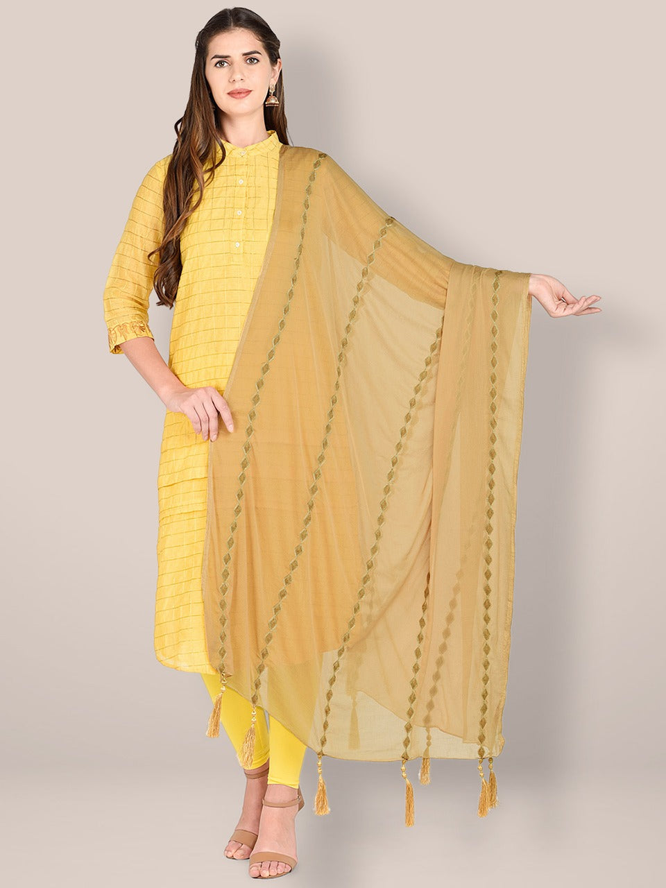 Embroidered Beige Chiffon Dupatta. freeshipping - Dupatta Bazaar