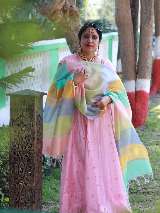 Multicolour Dupatta in Soft Pastels