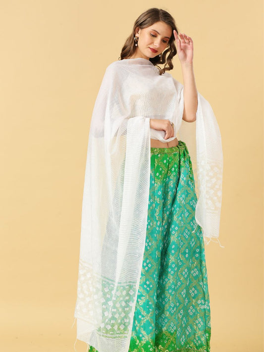 Organza Dupatta with Self Deisgned Sheer Border